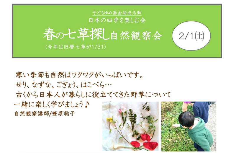 春の七草探し自然観察会〜日本の四季を楽しむ会