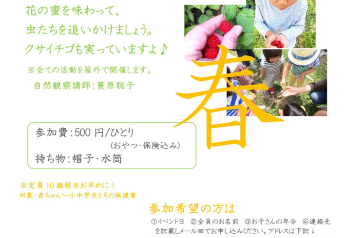 春の自然観察会～日本の四季を楽しむ会